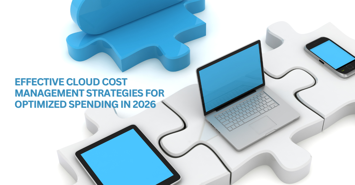 Cloud cost management strategy showing enterprise cost optimization, resource allocation, and multi-cloud spending control in the USA